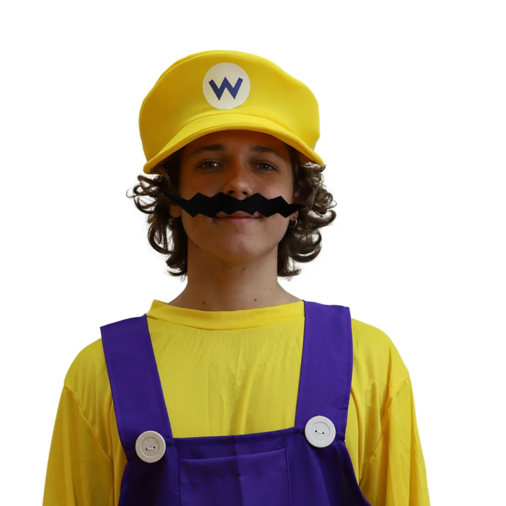 17.webp