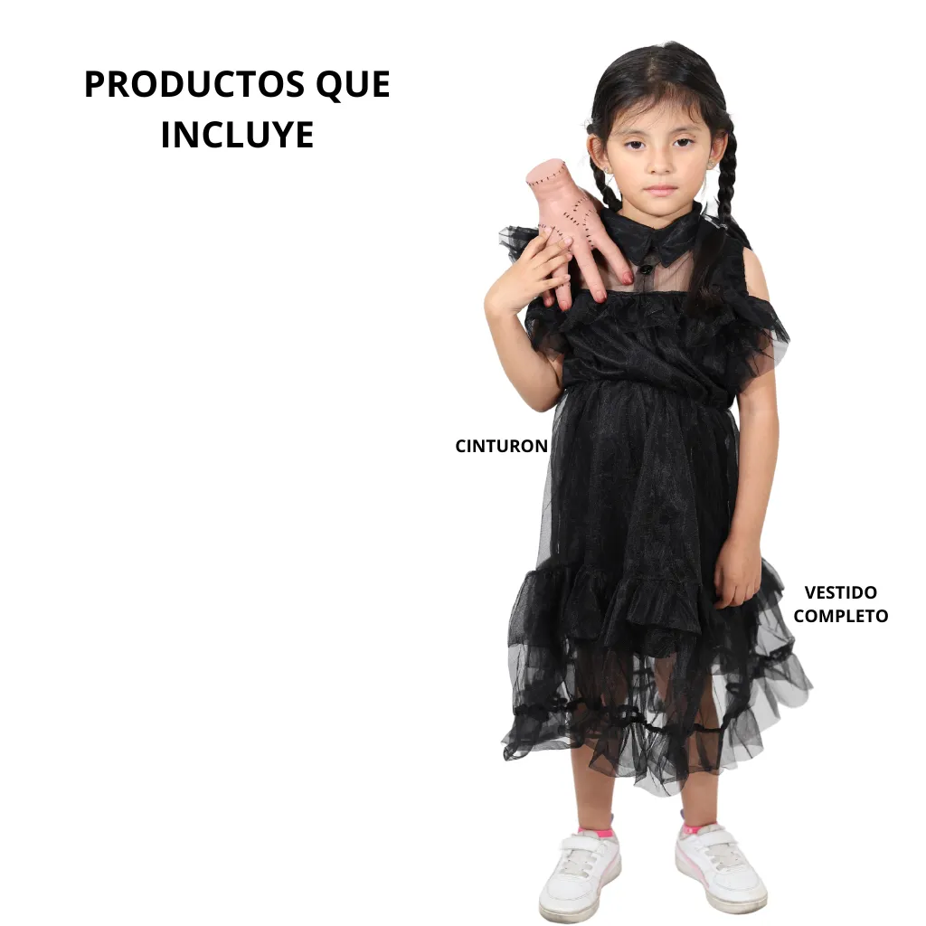 6.webp