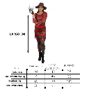 5.webp