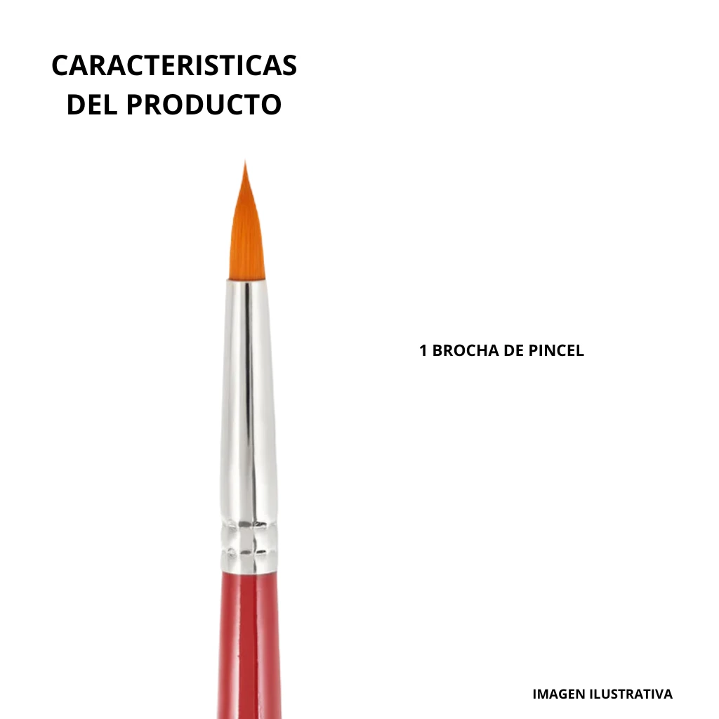 12.webp
