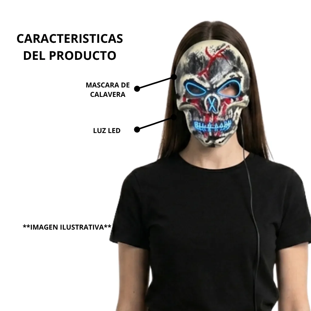 48.webp