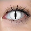 17.webp