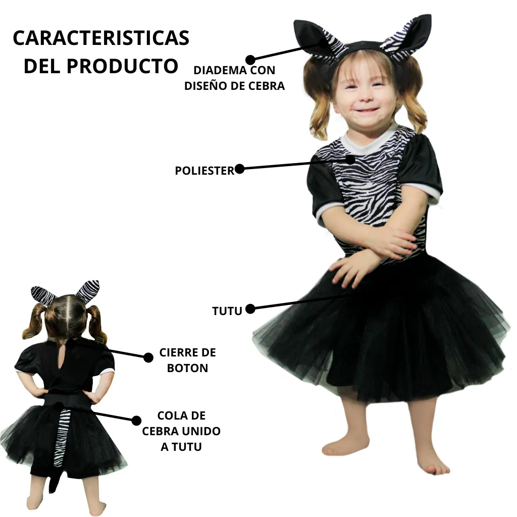 6.webp