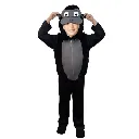 5.webp