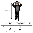 2.webp