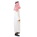 8.webp