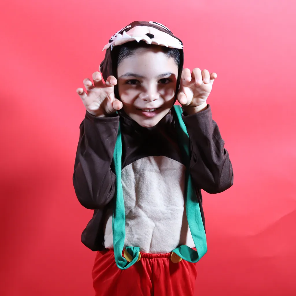 5.webp