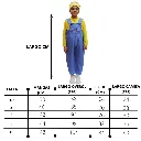 2.webp