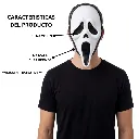 62.webp