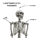 3.webp