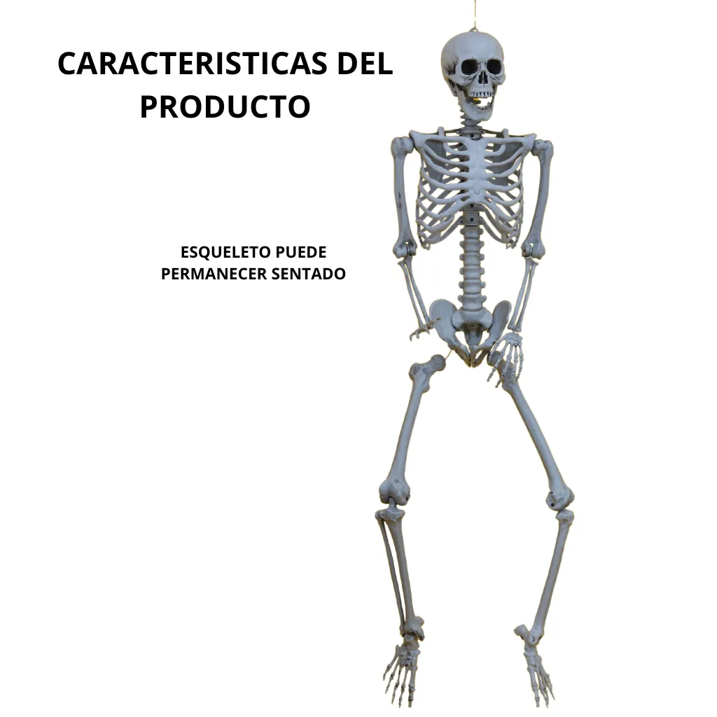 5.webp