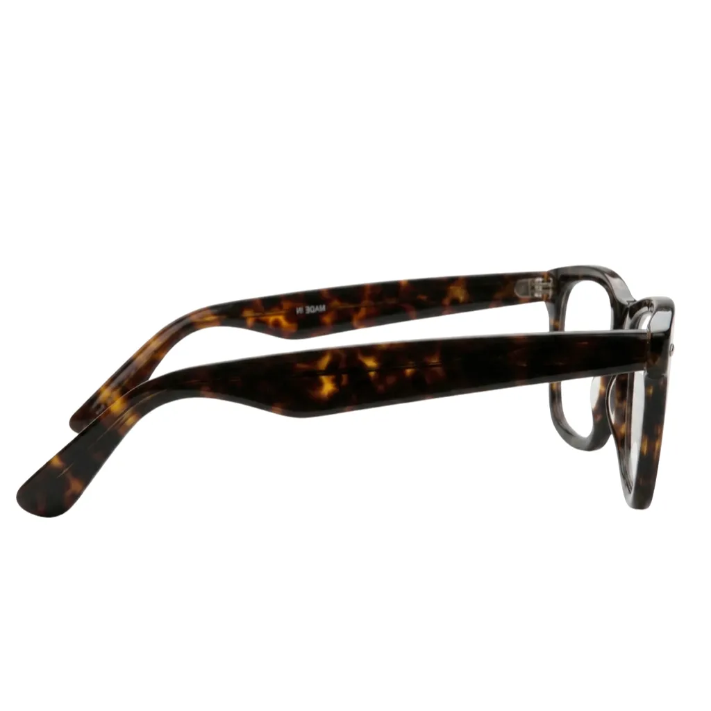 172.webp