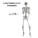 7.webp