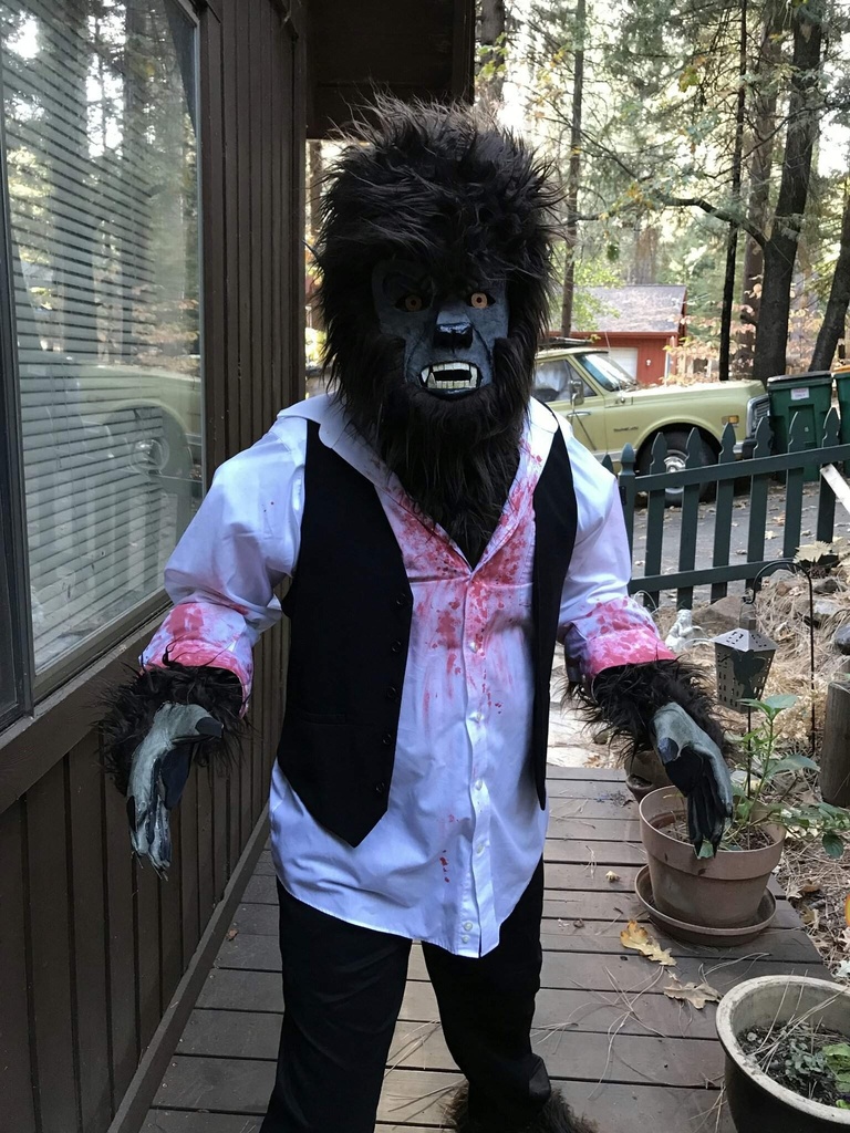 WOLFMAN COSTUME S/MASK ADLT