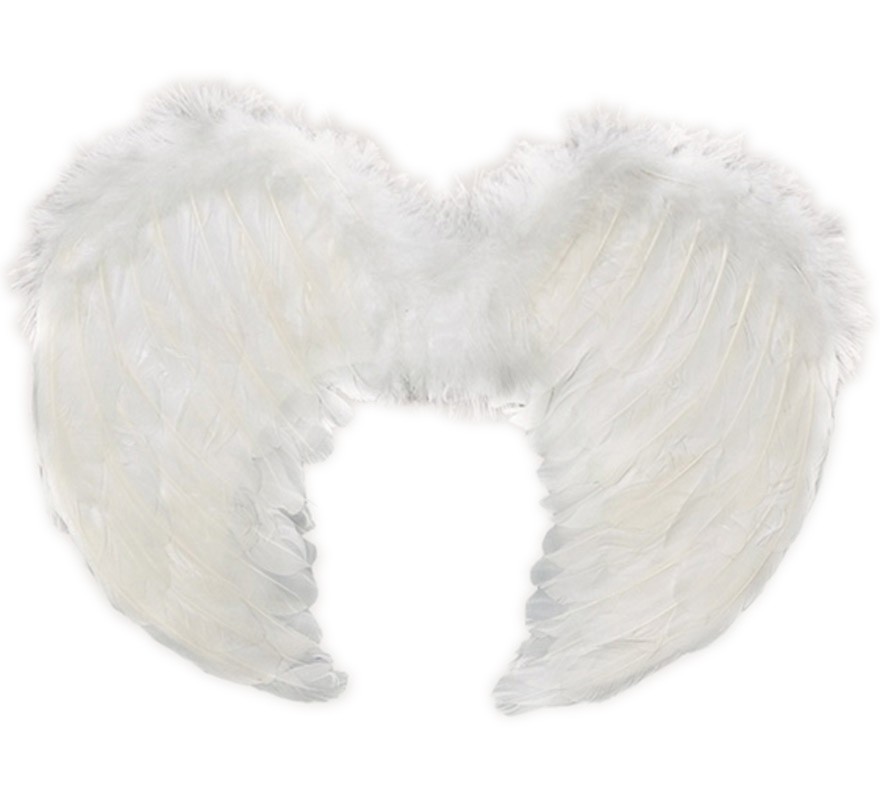[FX76701] YW ALA BLANCA C/PLUMAS ADLT *40