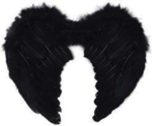 [41001-YW] YW ALAS NEGRA C/PLUMA CON MARABU 80 X 60