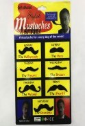 YW BIGOTES ESPECIAL