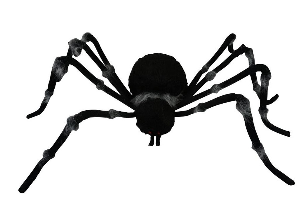 [46609] 72" GREY TRIM SPIDER
