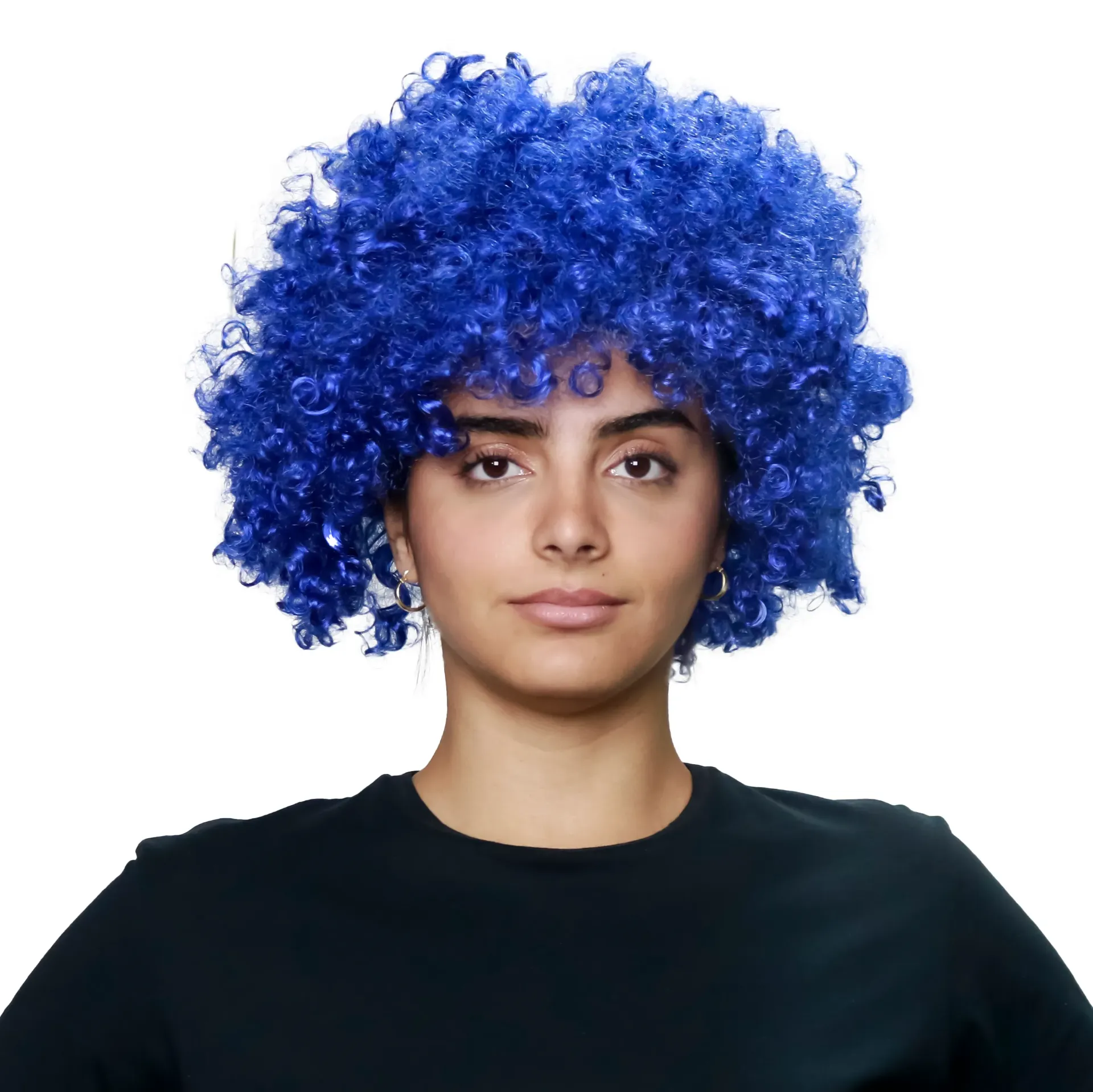 AFRO CLOWN WIG BLUE