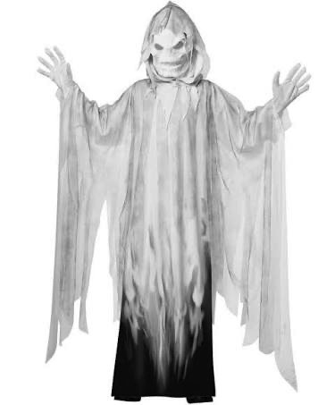 EVIL SPIRIT INF