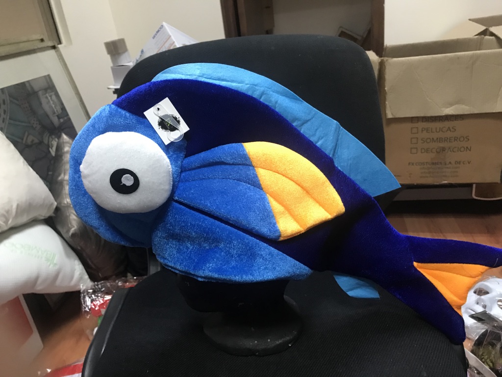 [2959-14] GORRO DEL PEZ DORY