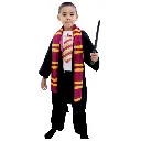 H.P. CAPA GRYFFINDOR INF