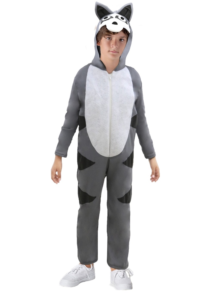 MAPACHE INF
