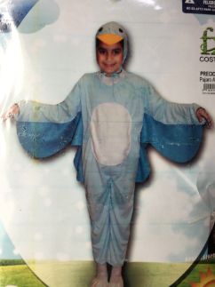 PAJARO AZUL