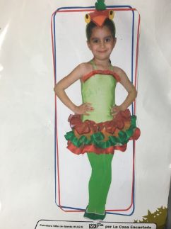 PERIQUITA CON TUTU