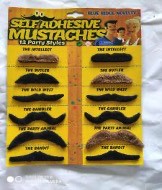 [1657-52-YW] YW BIGOTES SURTIDO C/12