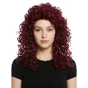PRINCESS WIG BROWN