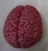 [FX85179] PROP CEREBRO LATEX DECOR