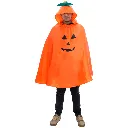 PONCHO CALABAZA INF AUTO