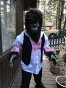 WOLFMAN COSTUME S/MASK ADLT