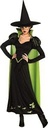 WOZ WICKED WITCH ADLT