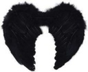 YW ALAS NEGRA C/PLUMA CON MARABU 80 X 60