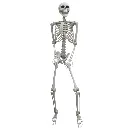 5 FT SKELETON HEAD TURN