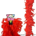 6´60 GR RED BOA