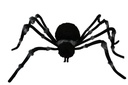 72" GREY TRIM SPIDER