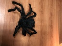 ARAÑA DE 60 CM
