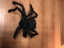ARAÑA DE 90 CM