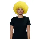 CLOWN WIG ASST COLORS
