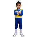 DBZ VEGETA