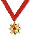 DRACULA MEDAL
