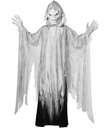 EVIL SPIRIT INF