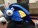 GORRO DEL PEZ DORY